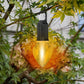 🥳2026 HOT SALE🥳💞50K+ SOLD!🌙✨ 50% OFF & Free Shipping! Hanging Camping Lantern – Vintage style, Type-C fast charge. 400mAh battery, soft glow. Use indoors or out. Great for DIY decor, fishing trips or patio ambiance. 🎣🏡