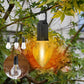 🥳2026 HOT SALE🥳💞50K+ SOLD!🌙✨ 50% OFF & Free Shipping! Hanging Camping Lantern – Vintage style, Type-C fast charge. 400mAh battery, soft glow. Use indoors or out. Great for DIY decor, fishing trips or patio ambiance. 🎣🏡