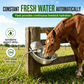 🐄 Automatic 304 Stainless Steel Drinking Bowl with Float and Drain Hole for Cattle Horses Sheep and Dogs 🤖