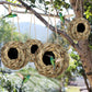 🐦Hummingbird Nest House