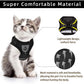 Adjustable Breathable And Light-up Harness and Leash Set for Pets
