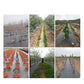 ⛏🌿 Weed Control Fabric – Blocks Sunlight, Breathable & Perfect for Garden Beds & Pathways 📉