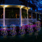 🔥2026 New Upgrade ＆ Hot Sale🔥 Solar Garden Lights Outdoor Decor – 100 LEDs, IP55 Waterproof & Easy Install – Auto on/off, energy-saving & perfect for patios, yards or pathways 🌙