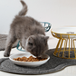 🐱 50% OFF! 🥣Elevated Ceramic Cat Bowl with Iron Stand – Promotes Healthy Posture, Non-Slip & Perfect for Dry & Wet Food 🐈