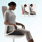 Ergonomic Seat Cushion With Lumbar Support  Light luxury, premium quality – last day for limited time discount! ✨⏰