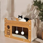 🔥 Hot sale 50% OFF🔥2-in-1 Sisal Cat Scratching Lounger