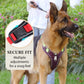 📢📢50% OFF !! 🐶 No Pull Dog Harness With Leash & Collar LED - Walks Just Got Easier ✨