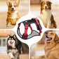 📢📢50% OFF !! 🐶 No Pull Dog Harness With Leash & Collar LED - Walks Just Got Easier ✨