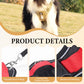 📢📢50% OFF !! 🐶 No Pull Dog Harness With Leash & Collar LED - Walks Just Got Easier ✨