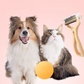 2-in-1 Pet Dematting & Deshedding Comb~Limited time 50% OFF – Premium quality – Bestseller! 🔥✨