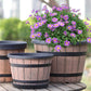 Limited Time Special Price! ⏰💥Round Resin Barrel Planter for Garden