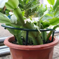 Limited time 50% OFF – buy more, save more! ⏰🔥💰Interlocking Planting Grow Rings