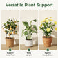 🏆LAST DAY SALE 50% OFF🔥Plant Support Stakes for Indoor & Outdoor Use