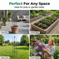 🏆LAST DAY SALE 50% OFF🔥Garden Climbing Plant Support Trellis