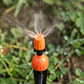 🏆LAST DAY SALE 50% OFF🔥DIY Micro Drip Irrigation Kit