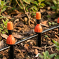 🏆LAST DAY SALE 50% OFF🔥DIY Micro Drip Irrigation Kit