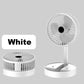 🏆LAST DAY SALE 50% OFF🔥Foldable plug-in fan
