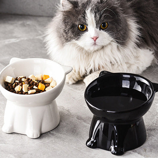 🏆LAST DAY SALE 50% OFF🔥Ergonomic Elevated Cat Bowl