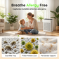 Silent Air Purifier for Home