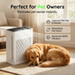 Silent Air Purifier for Home