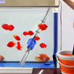Electric Suction Aquarium Water Changer Filter Cleaner
