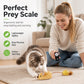 Interactive Squeaking Plush Cat Toy