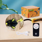 Interactive Squeaking Plush Cat Toy