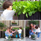 🌱LIMITED-TIME 50% OFF! 🥬 Multifunctional Planting Box – Grow veggies & herbs easily ✨