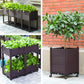🌱LIMITED-TIME 50% OFF! 🥬 Multifunctional Planting Box – Grow veggies & herbs easily ✨
