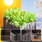 🌱LIMITED-TIME 50% OFF! 🥬 Multifunctional Planting Box – Grow veggies & herbs easily ✨