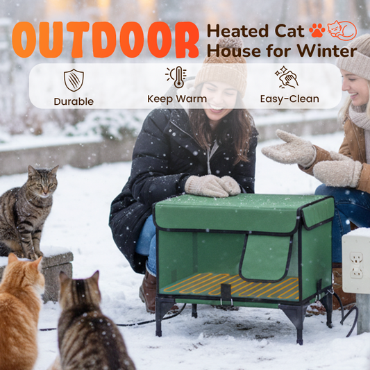 Outdoor Heated Cat House for Winter
