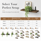 Wall Mounted Floating Wooden Shelves with Semicircular Iron Brackets for Bathroom Kitchen Spice Rack and Living Room Plant Display