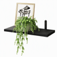 Wall Mounted Floating Wooden Shelves with Semicircular Iron Brackets for Bathroom Kitchen Spice Rack and Living Room Plant Display