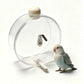 🐦 Save 50%! 💧 Hanging Bird Drinker – Clear design & copper pin ✨