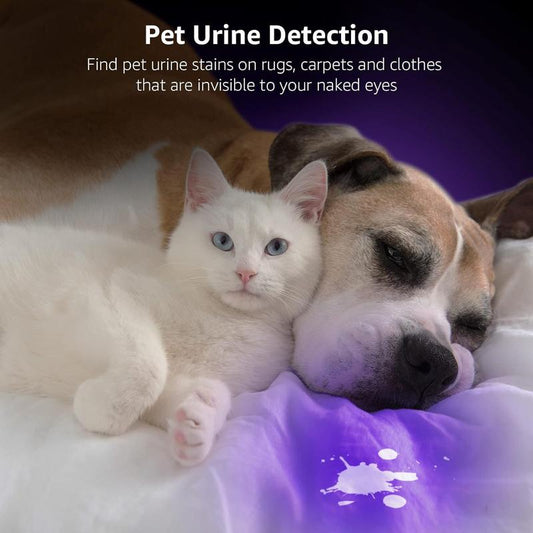 High-Power LED UV Blacklight Flashlight