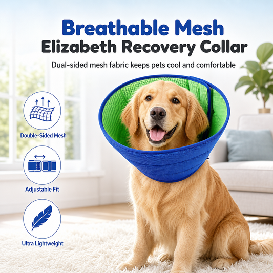 📢📢50% OFF !! ⏰Two-Tone Blue and Green Pet Recovery Collar for Dogs and Cats Anti-Bite and Anti-Scratch Protective Elizabethan Cone
