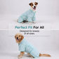 🐕 Super Absorbent Dog Bathrobe: Quick-Dry, Secure Belly Strap, XS-XL, 5 Colours